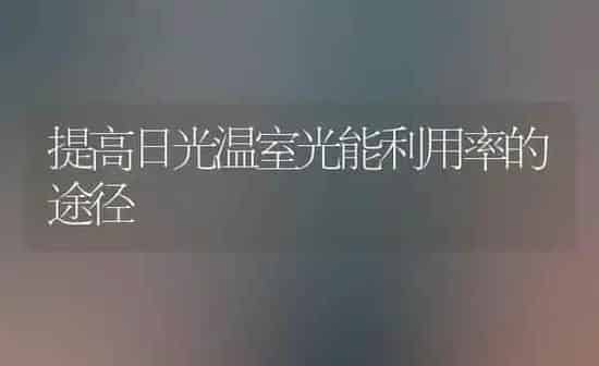 提高日光温室光能利用率的途径 | 养殖技术大全