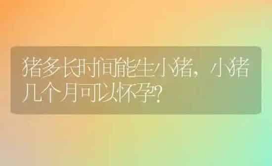怎么让狗狗在指定的地方大小便,怎么让狗狗在指定的地方大小便视频 | 养殖科普