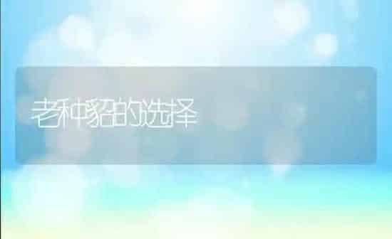 老种貂的选择 | 养殖知识