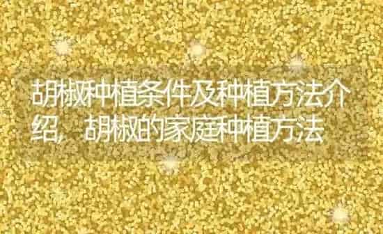 红毛丹是什么水果,红色带毛的水果叫什么 | 养殖学堂