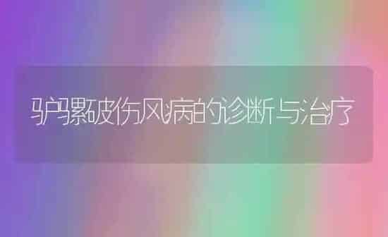 驴骡破伤风病的诊断与治疗 | 养殖知识