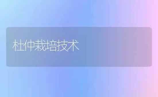 杜仲栽培技术 | 养殖知识