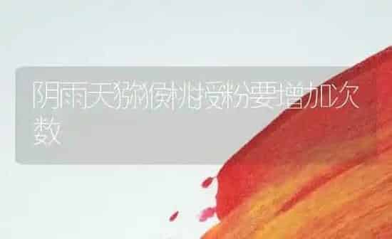 阴雨天猕猴桃授粉要增加次数 | 养殖知识