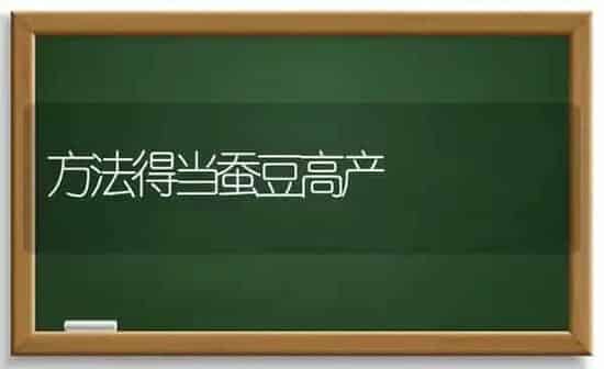 方法得当蚕豆高产 | 养殖知识