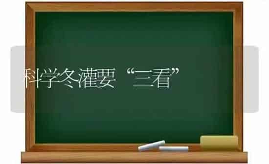科学冬灌要“三看” | 养殖知识