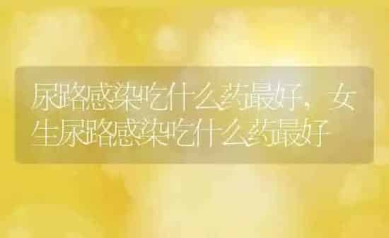泰迪狗怎么养,泰迪狗怎么养基础知识 | 养殖科普