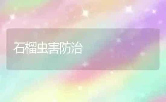 石榴虫害防治 | 养殖知识