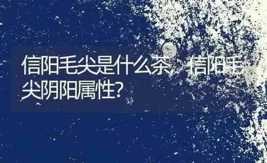 信阳毛尖是什么茶,信阳毛尖阴阳属性? | 养殖科普