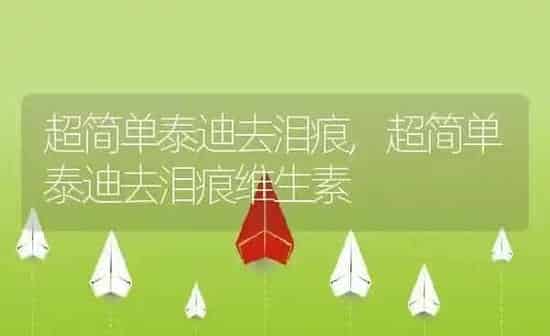 超简单泰迪去泪痕,超简单泰迪去泪痕维生素 | 养殖资料
