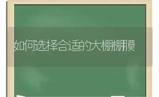 如何选择合适的大棚棚膜 | 养殖知识