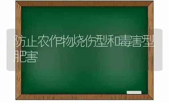防止农作物烧伤型和毒害型肥害 | 养殖知识