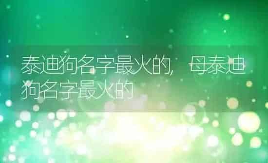 泰迪狗名字最火的,母泰迪狗名字最火的 | 养殖科普