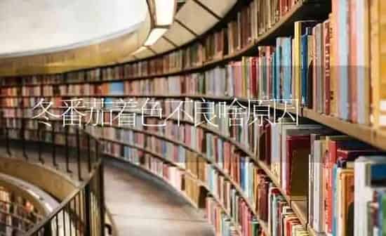 冬番茄着色不良啥原因 | 养殖知识