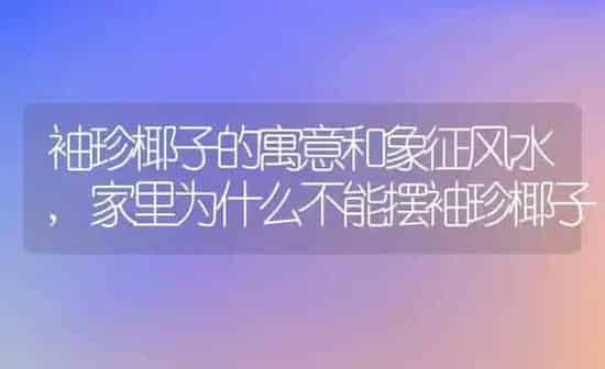 袖珍椰子的寓意和象征风水,家里为什么不能摆袖珍椰子 | 养殖学堂