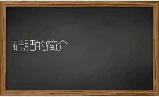 硅肥的简介 | 养殖技术大全