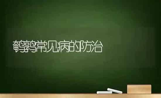 鹌鹑常见病的防治 | 养殖技术大全