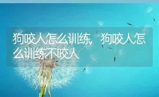 狗咬人怎么训练,狗咬人怎么训练不咬人 | 养殖科普