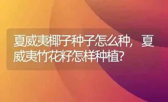 夏威夷椰子种子怎么种,夏威夷竹花籽怎样种植？ | 养殖科普