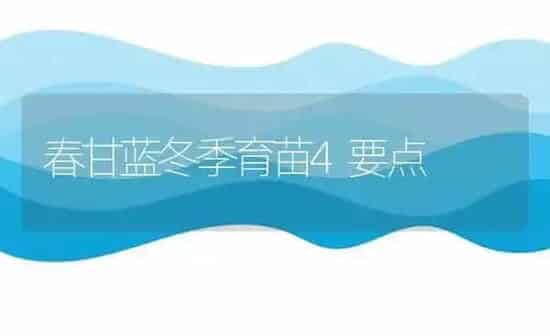 春甘蓝冬季育苗4要点 | 养殖知识