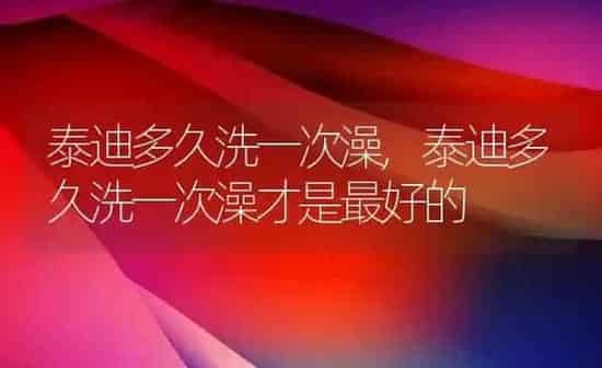 泰迪多久洗一次澡,泰迪多久洗一次澡才是最好的 | 养殖资料