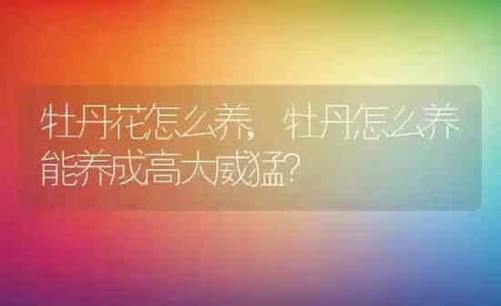 牡丹花怎么养,牡丹怎么养能养成高大威猛？ | 养殖学堂