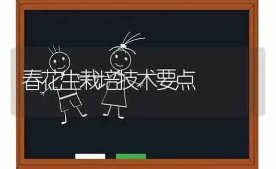 春花生栽培技术要点 | 养殖知识