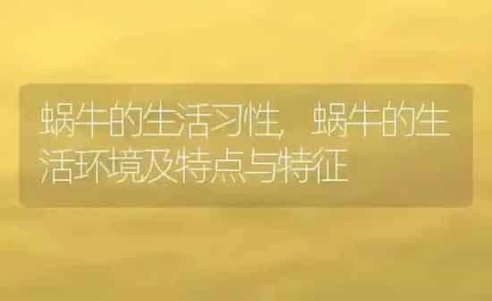 蜗牛的生活习性,蜗牛的生活环境及特点与特征 | 养殖科普