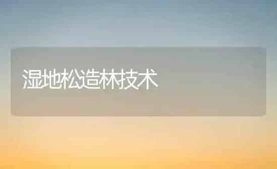 湿地松造林技术 | 养殖知识
