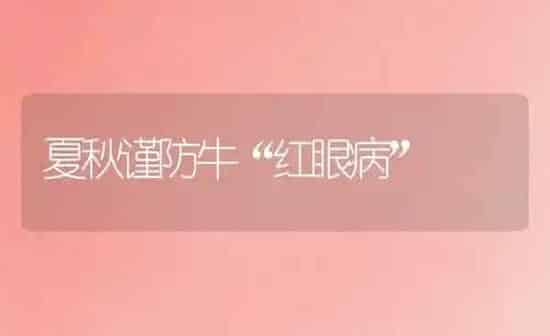 夏秋谨防牛“红眼病” | 养殖知识
