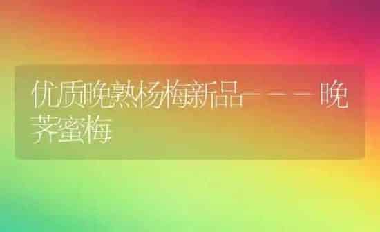 优质晚熟杨梅新品---晚荠蜜梅 | 养殖技术大全