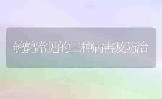 鹌鹑常见的三种病害及防治 | 养殖技术大全
