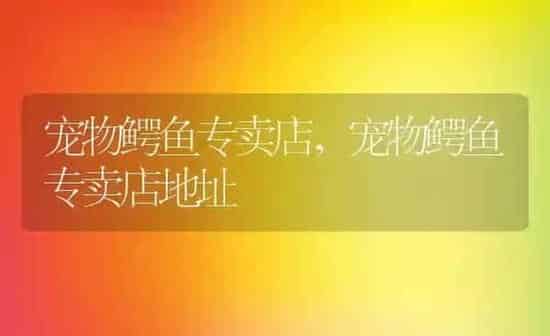 宠物鳄鱼专卖店,宠物鳄鱼专卖店地址 | 养殖资料