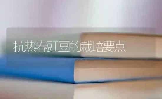 抗热春豇豆的栽培要点 | 养殖知识