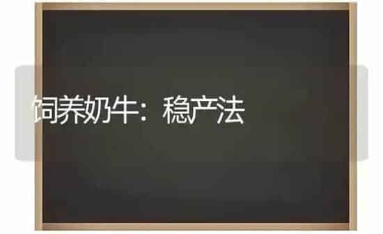 饲养奶牛：稳产法 | 养殖知识
