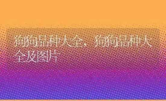 狗狗品种大全,狗狗品种大全及图片 | 养殖科普