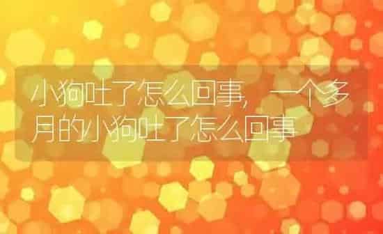小狗吐了怎么回事,一个多月的小狗吐了怎么回事 | 养殖科普