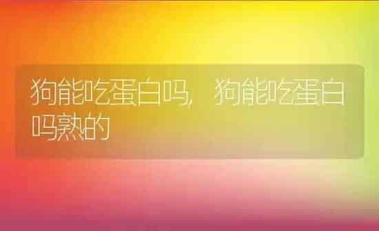 狗能吃蛋白吗,狗能吃蛋白吗熟的 | 养殖科普