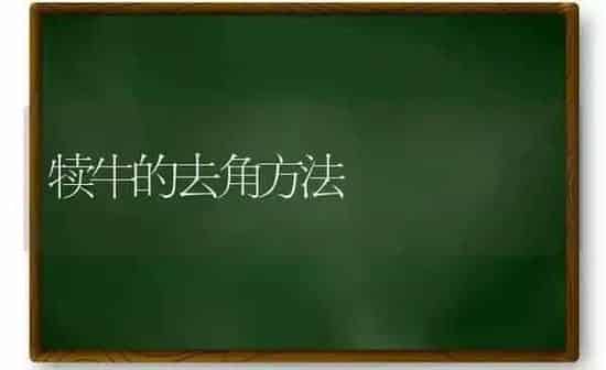 犊牛的去角方法 | 养殖知识