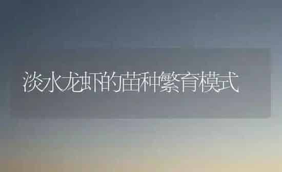 淡水龙虾的苗种繁育模式 | 养殖知识