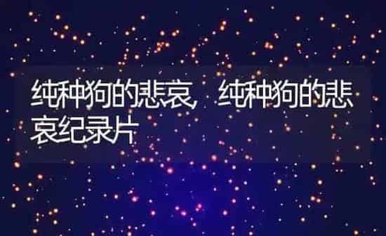 世界三大傻狗,世界十大最恐怖狗 | 养殖科普