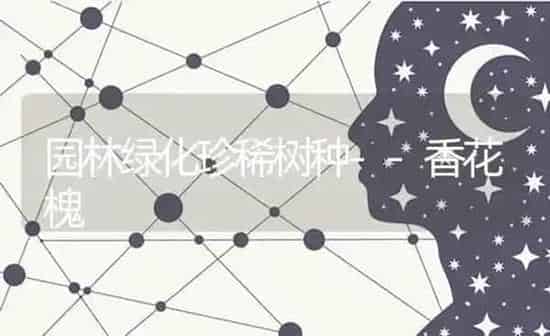 园林绿化珍稀树种--香花槐 | 养殖技术大全