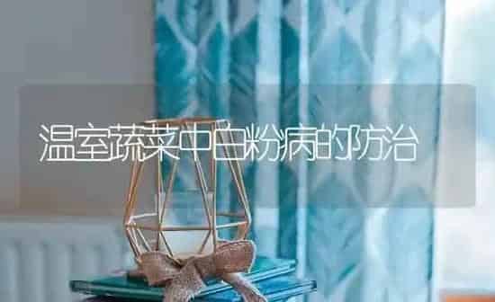 猕猴桃溃疡病的防治 | 养殖知识