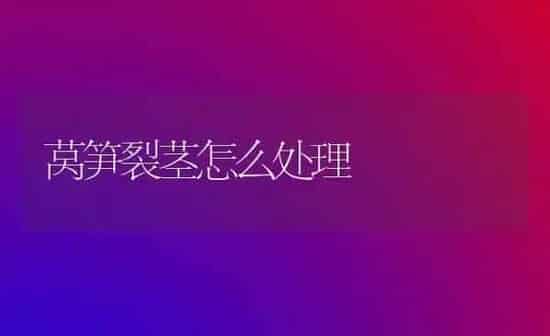 莴笋裂茎怎么处理 | 养殖知识