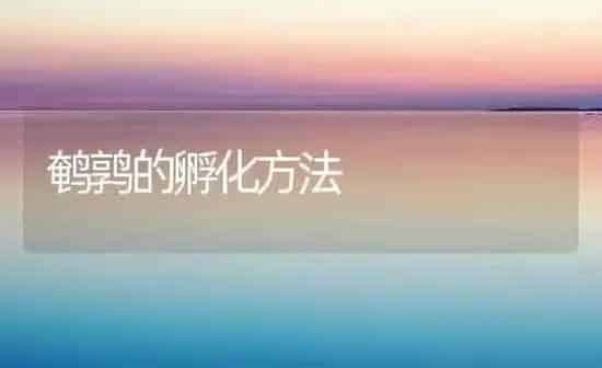 鹌鹑的孵化方法 | 养殖技术大全