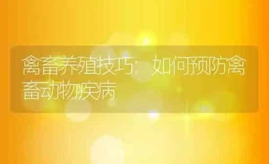 禽畜养殖技巧:如何预防禽畜动物疾病 | 养殖学堂