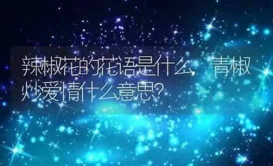 辣椒花的花语是什么,青椒炒爱情什么意思? | 养殖科普