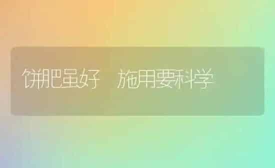 饼肥虽好 施用要科学 | 养殖知识