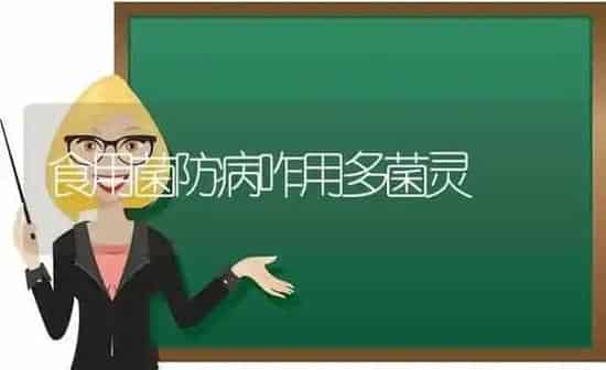 食用菌防病咋用多菌灵 | 养殖知识