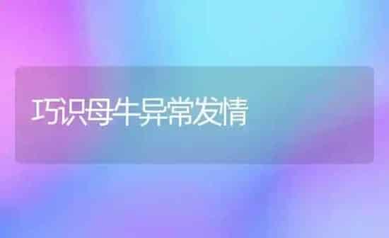 巧识母牛异常发情 | 养殖知识