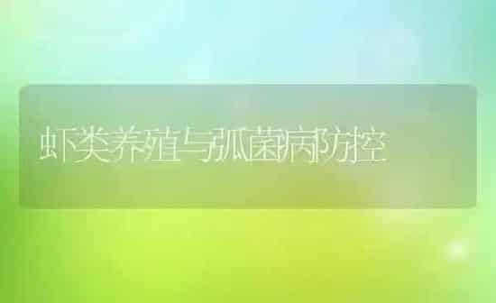虾类养殖与弧菌病防控 | 养殖技术大全
